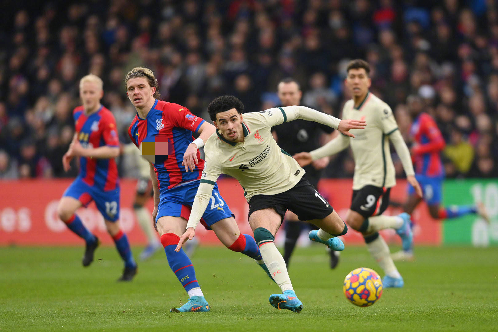 夏联的每一 夏联的每一